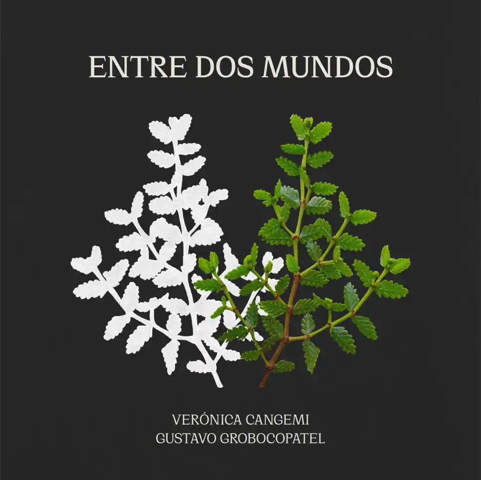 Diez canciones cuyanas se hacen universales