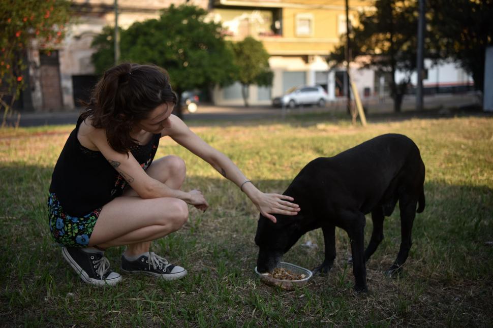 Perri-Viandas: un delivery gratis para perros en situación de calle en Tucumán