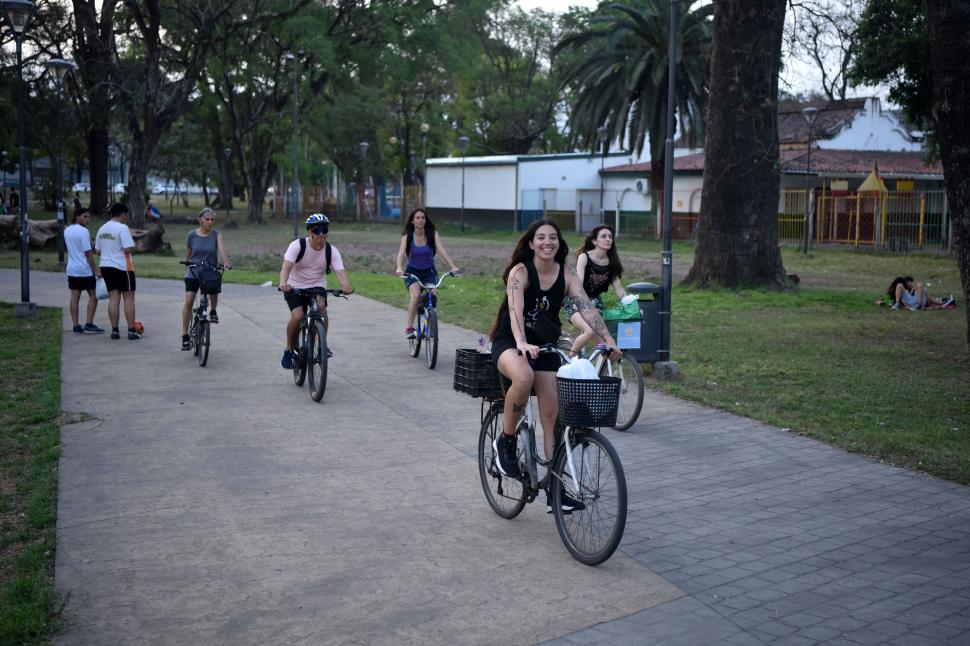 Perri-Viandas: un delivery gratis para perros en situación de calle en Tucumán