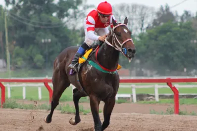 Turf: los santiagueños festejaron en las pruebas jerárquicas