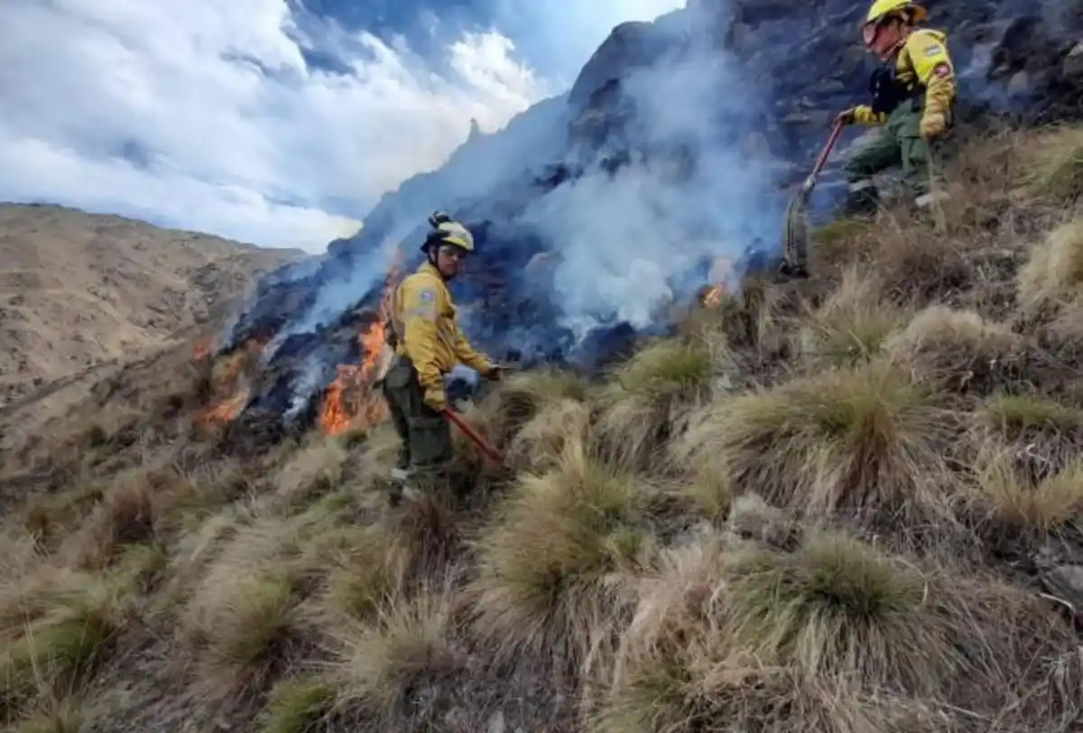 Brigadistas. FOTO COMUNICACIÓN PÚBLICA