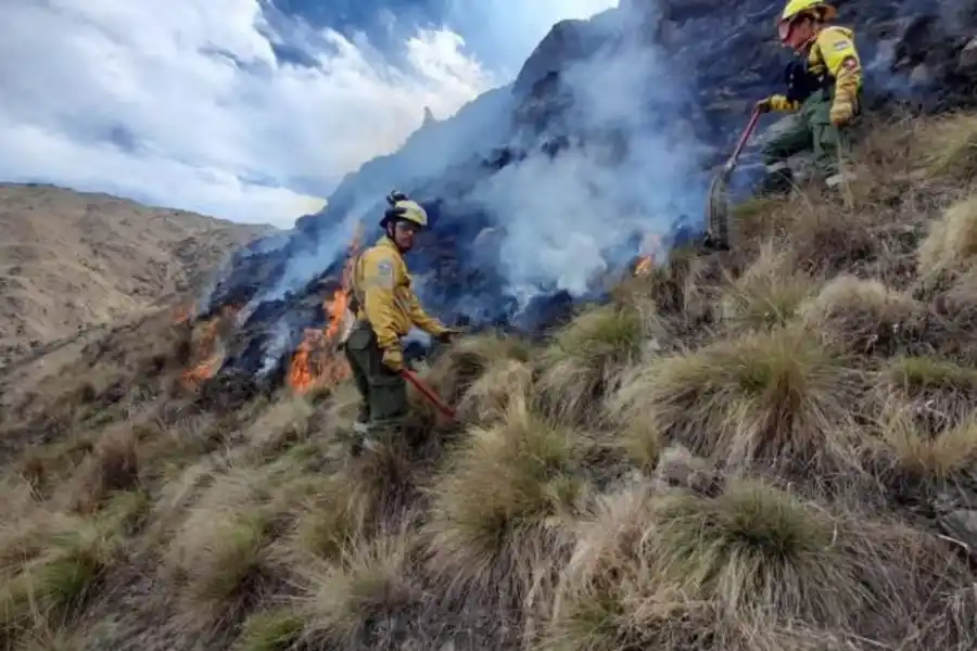 Brigadistas. FOTO COMUNICACIÓN PÚBLICA