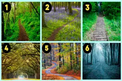 Test viral: el camino que elijas revelará de qué manera tu personalidad influye en tus relaciones