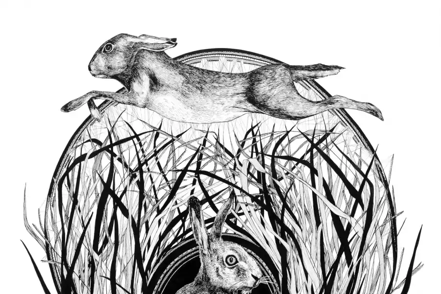 “MADRIGUERA 3”, DE YAMILA CUFRÉ.