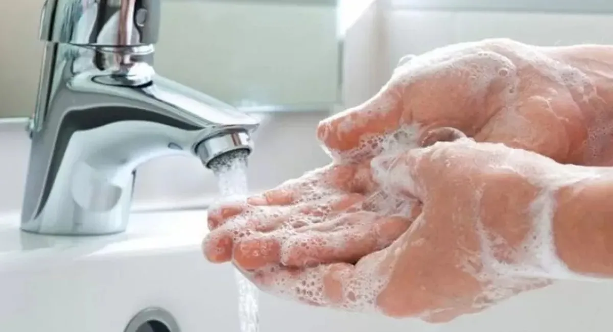 Lavate las manos y evitá enfermedades