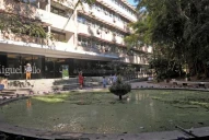 Elecciones 2023: la Fundación Miguel Lillo, entre las entidades científicas protegidas de una privatización