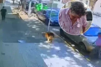 Video: un jubilado fue agredido brutalmente por pedir que levanten la caca de un perro