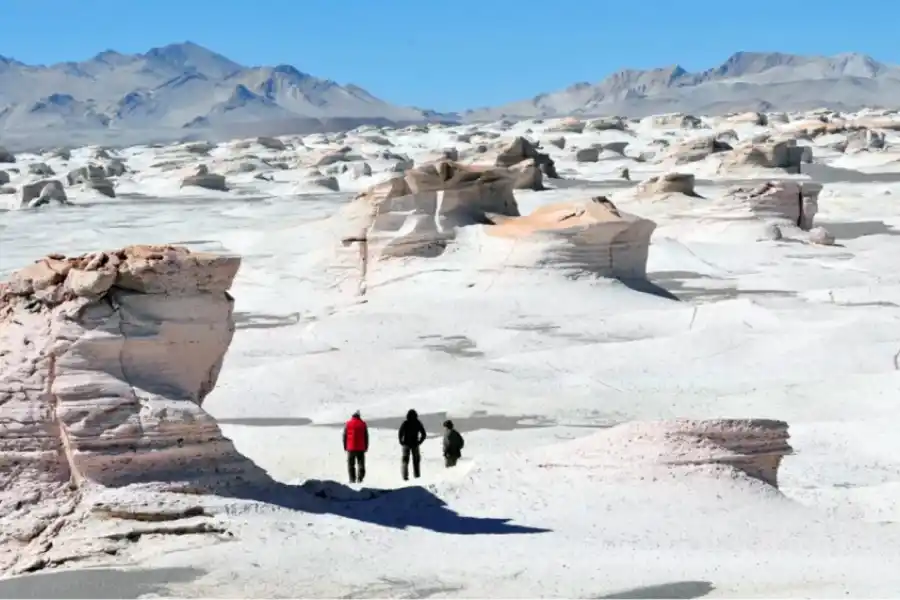 Cada año aumenta la cantidad de turistas que deciden conocer Campo de Piedra Pómez.
