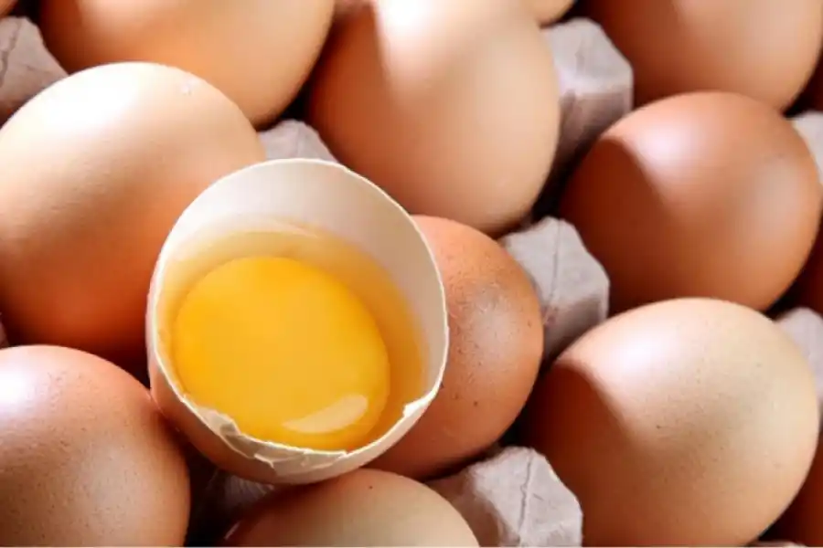 ¿Es sano comer la yema del huevo?