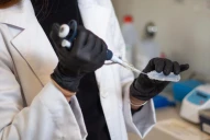 Probarán una medicación contra el dolor crónico desarrollada por Conicet