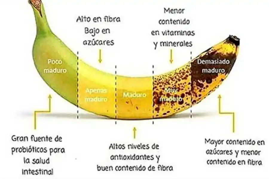 Especialistas recomiendan comer bananas todos los días
