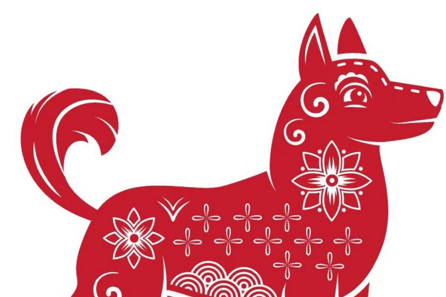Horóscopo chino: cómo le irá al signo del perro, según Ludovica Squirru.