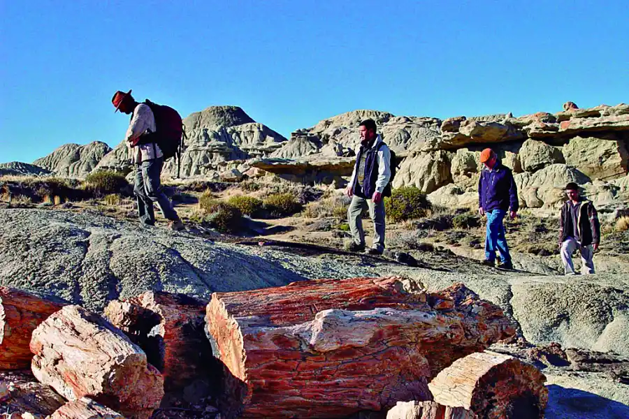 Vacaciones 2023/24: cinco lugares para visitar en El Chaltén y no perderte nada