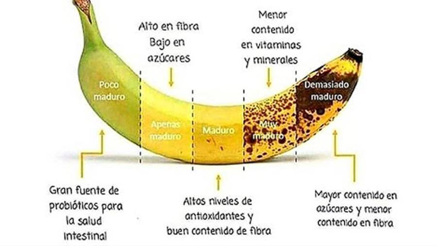 Especialistas recomiendan comer bananas todos los días