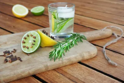 Repelentes naturales y remedios caseros para ahuyentar los mosquitos de la casa