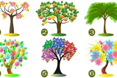 Test de personalidad: elegí un árbol y descubrí cómo sos en tus relaciones familiares y laborales