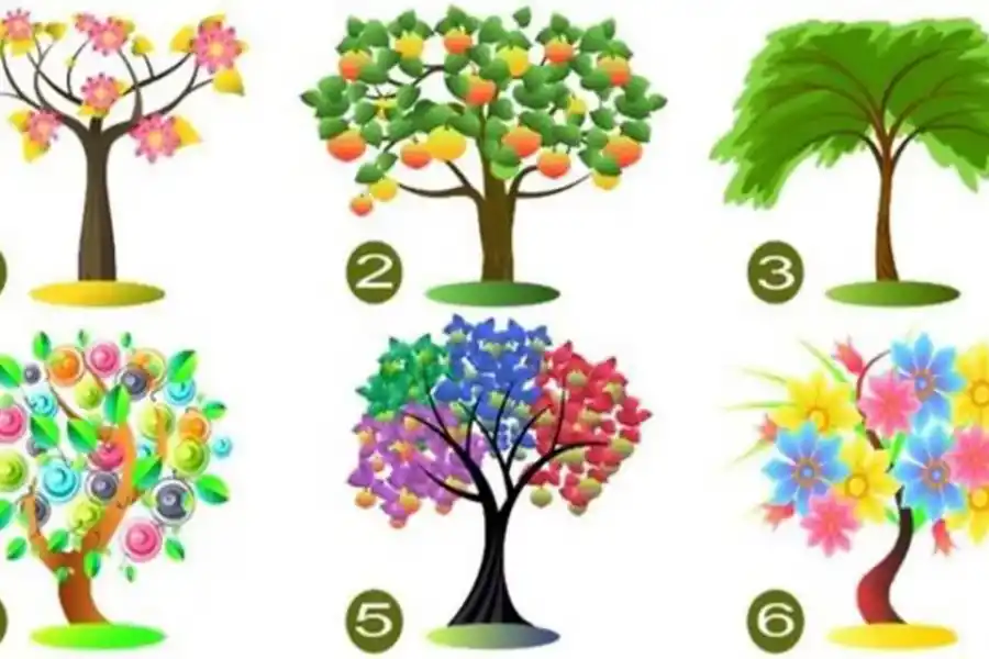 Test de personalidad: elegí un árbol y descubrí qué características te definen en tus relaciones familiares y laborales.