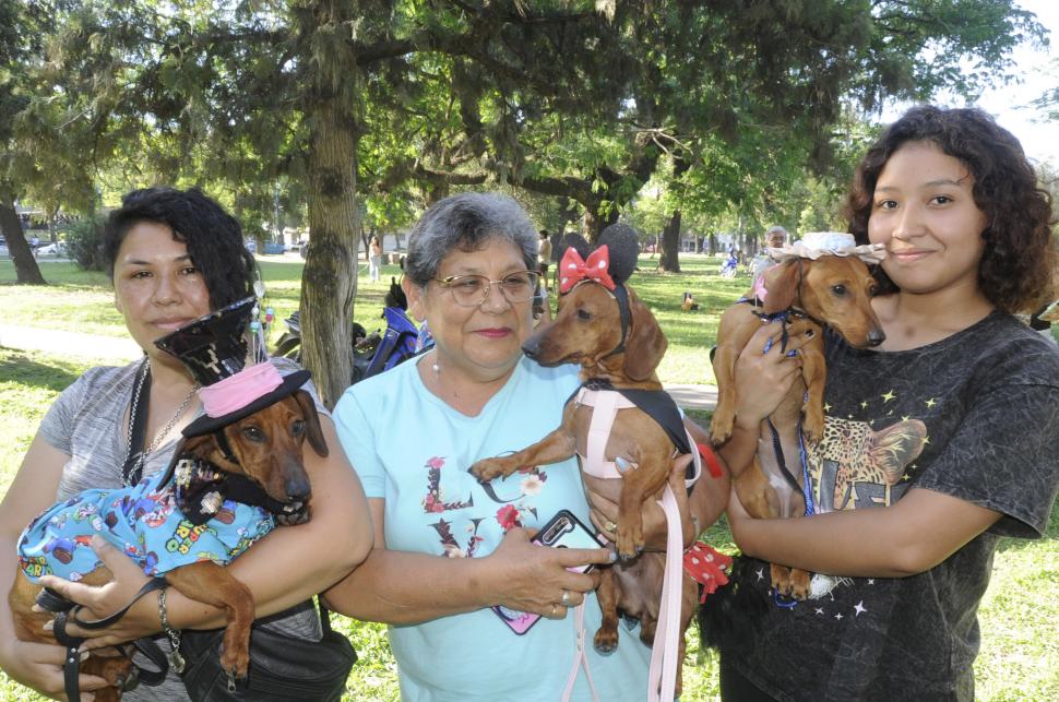Disfraces y ladridos: los perros salchichas tuvieron una fiesta en el parque 9 de Julio