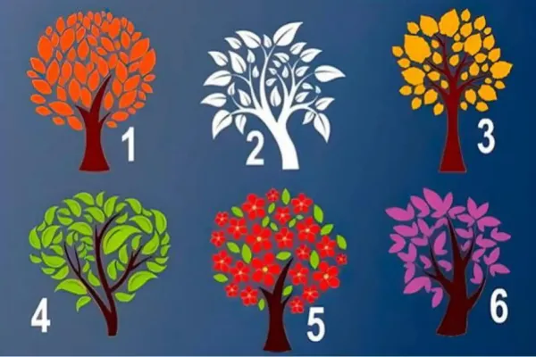 Test de personalidad: el árbol que elijas revelará qué impresión generás en los demás a simple vista