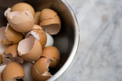 Cómo reutilizar las cáscaras de huevo y qué beneficios nos ofrece