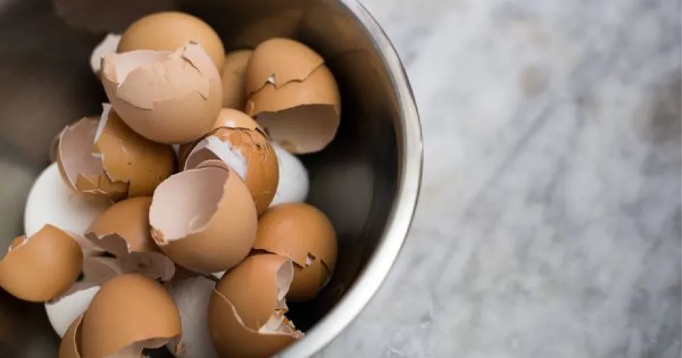 Cómo reutilizar las cáscaras de huevo y qué beneficios nos ofrece.