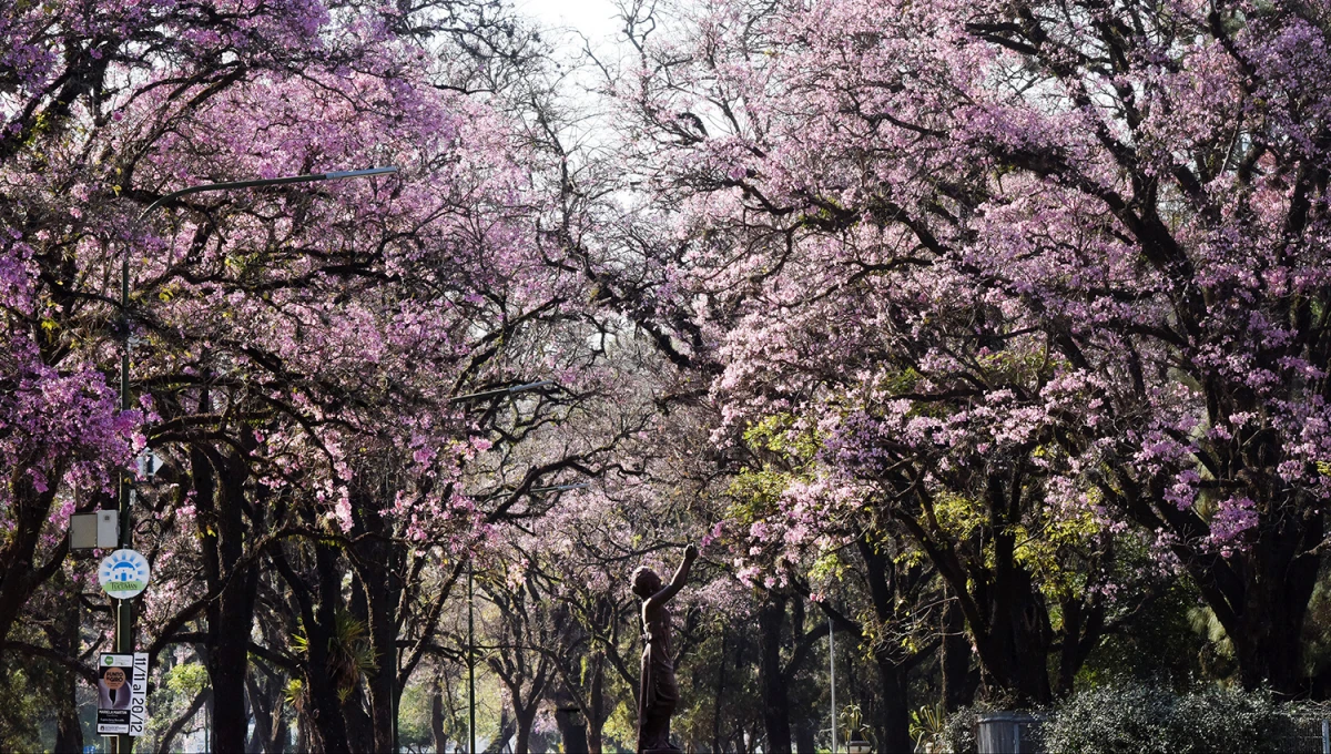 CAMINAR. La jornada estará idea para disfrutar de los espacios que ofrece el parque 9 de Julio en la capital tucumana.