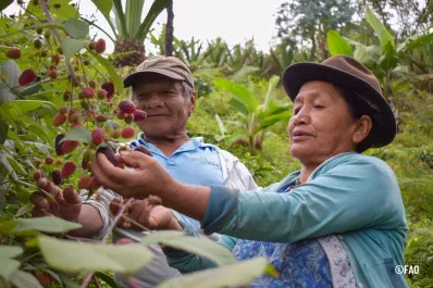 Informe de la ONU: “Las cifras de hambre en la región continúan siendo preocupantes