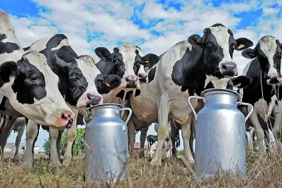 Sobre 19 economías regionales, 14 se encuentran “en rojo”