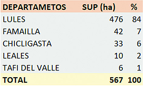 Creció el área de frutilla a 567 hectáreas