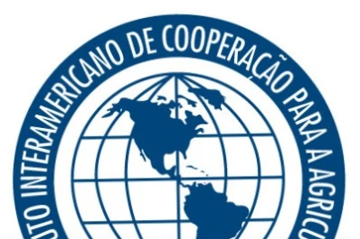 Aviación: buscan promover los combustibles sostenibles