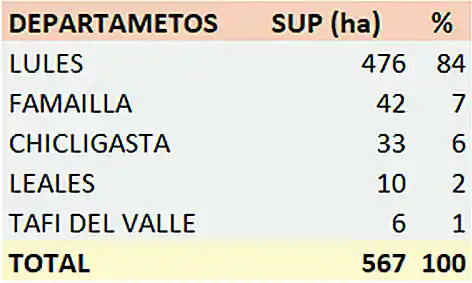 Creció el área de frutilla a 567 hectáreas