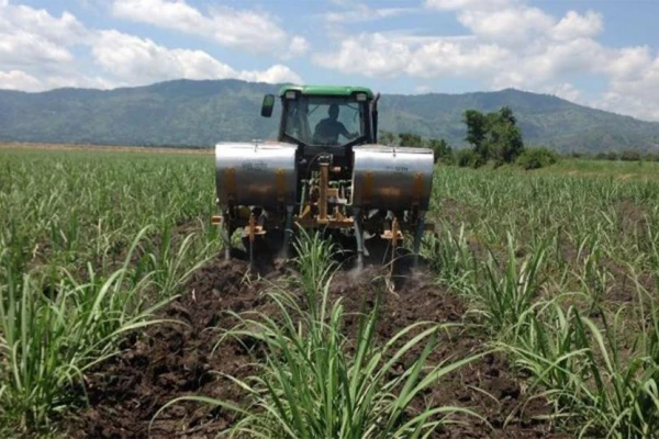 Fertilizar una hectárea de caña cuesta de $54.000 a $100.000