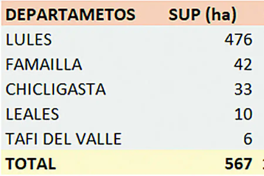 Creció el área de frutilla a 567 hectáreas