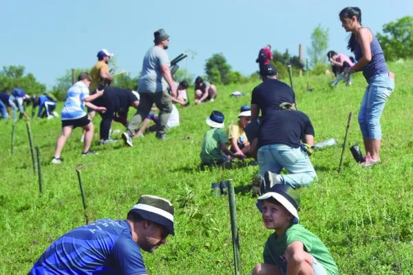 Drones y manos solidarias: 12.000 árboles y un nuevo bosque para Tucumán