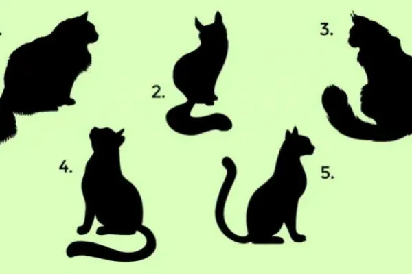 Test de personalidad: Elegí un gato y descubrí si tenés tendencia a manipular