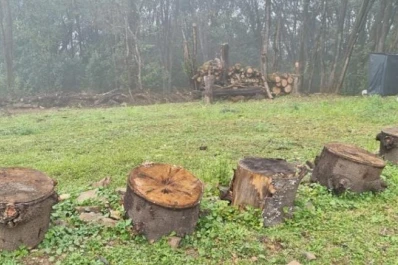 El fiscal pide enjuiciar al dueño de “Las Pirámides”