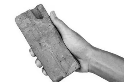 Recibió un ladrillazo en la cabeza y perdió un ojo: condenaron al agresor