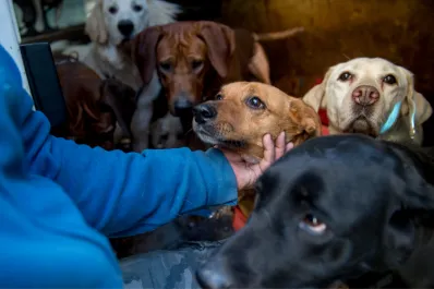 Un sector de trabajadores informales reclama una ley idéntica a la de las empleadas domésticas