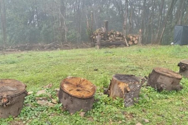 El fiscal pide enjuiciar al dueño de “Las Pirámides”