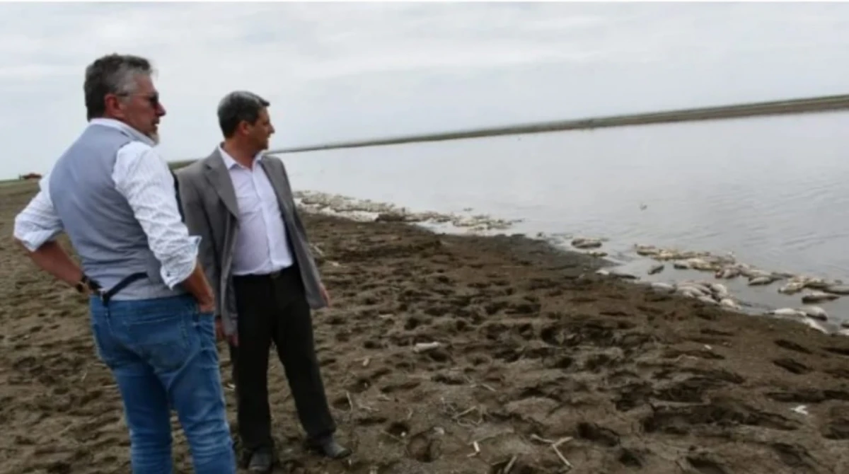 Funcionarios de Santiago del Estero hicieron una denuncia por la mortandad de peces