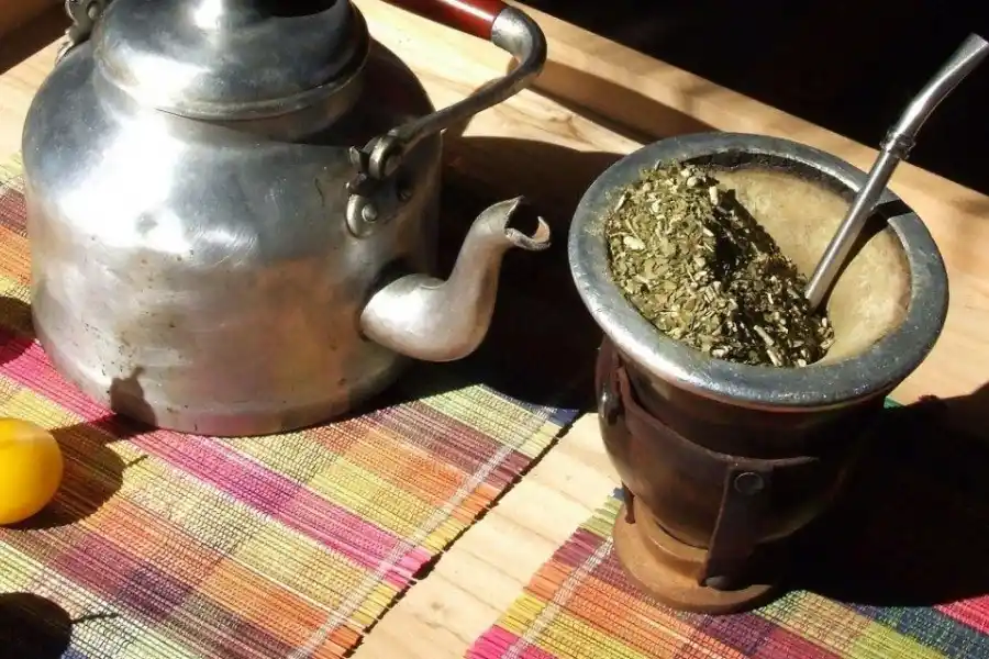 Mitos y Verdades sobre el mate: ¿cuánto puedo beber y qué debo evitar?