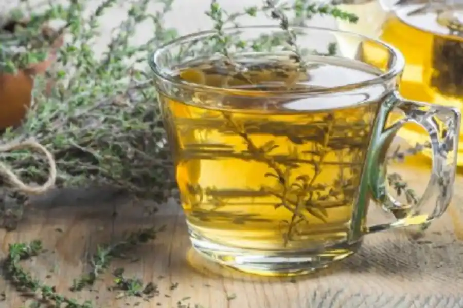 Infusiones para la tos: cuatro remedios naturales para aliviar malestares respiratorios