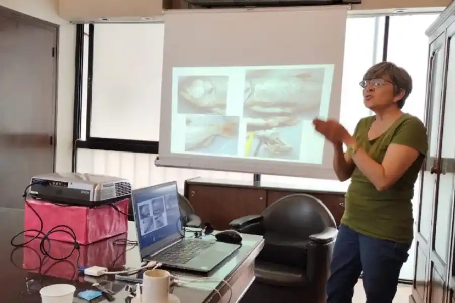 LOS DETALLES. En una reunión que se desarrolló ayer, especialistas de la Fundación Lillo explicaron su postura sobre el desastre ecológico..