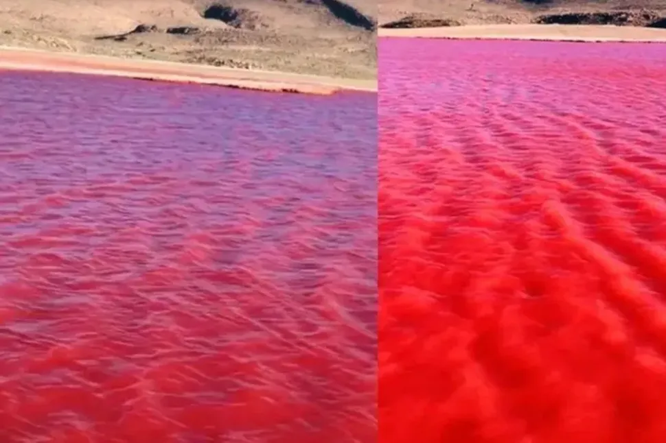 Las impactantes imágenes del Río Nilo teñido de rojo: ¿cuál es el presagio bíblico alrededor del fenómeno?