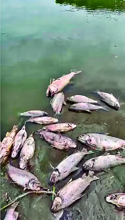 asdf asdfasdfasdfasdf