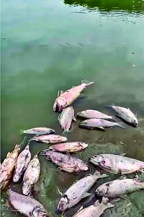 asdf asdfasdfasdfasdf