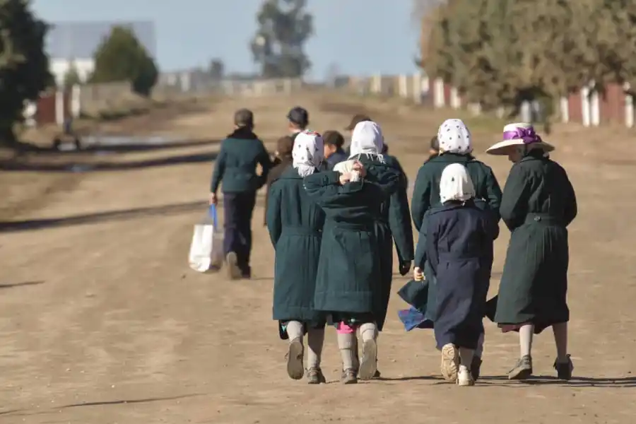 Vacaciones 2023/24: la fascinante experiencia de viajar en el tiempo en una colonia menonita