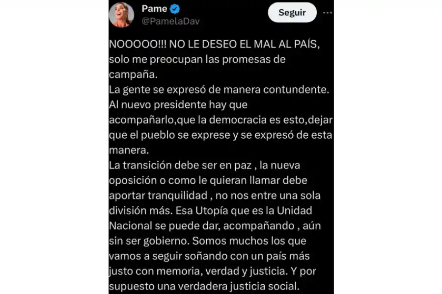 El posteo de Pamela David aclarando su anterior comentarios sobre Javier Milei.
