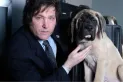 Ley Conan: objetaron que se elimine la figura del animal como víctima