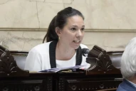 Omodeo impulsa una reforma en Diputados sobre responsabilidad en el gasto público